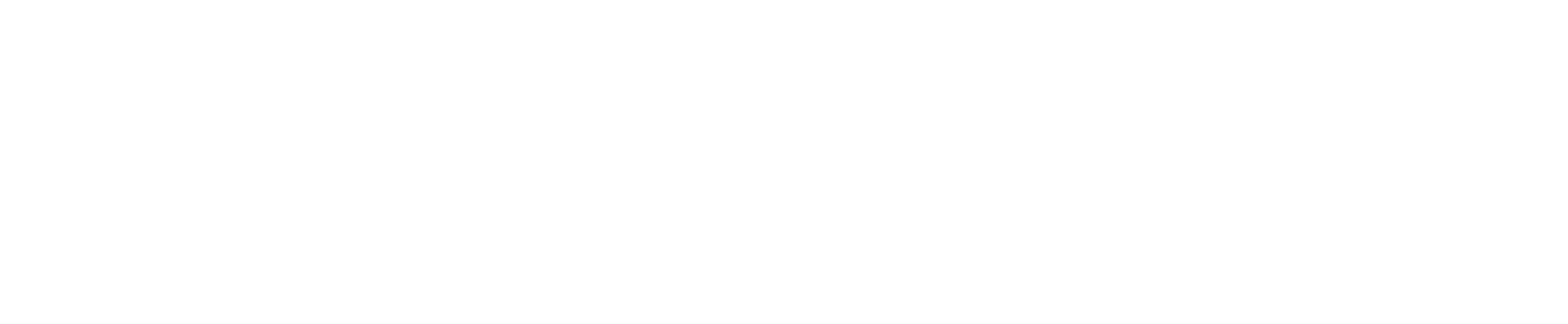 White logo - no background_tag